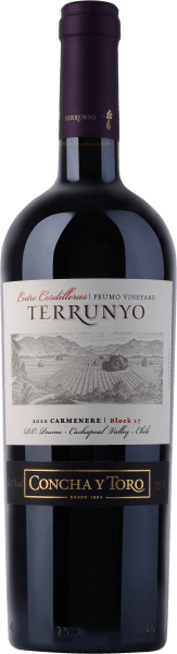 Terrunyo Carmenere